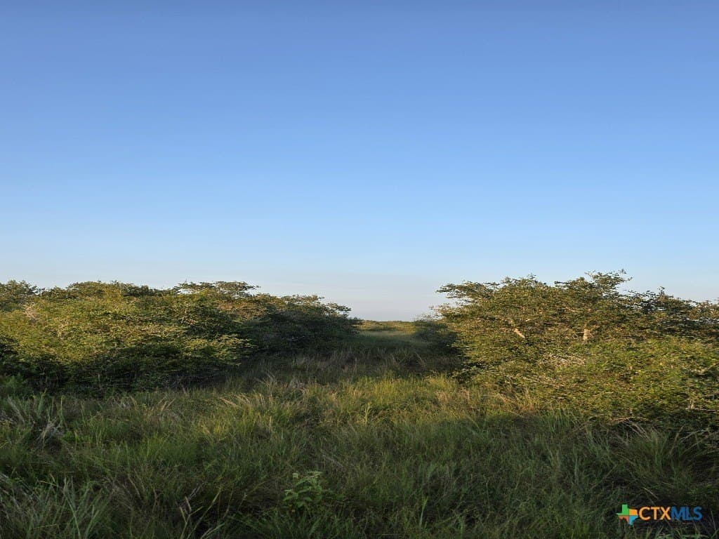 5 acres in Calhoun County - photo 10
