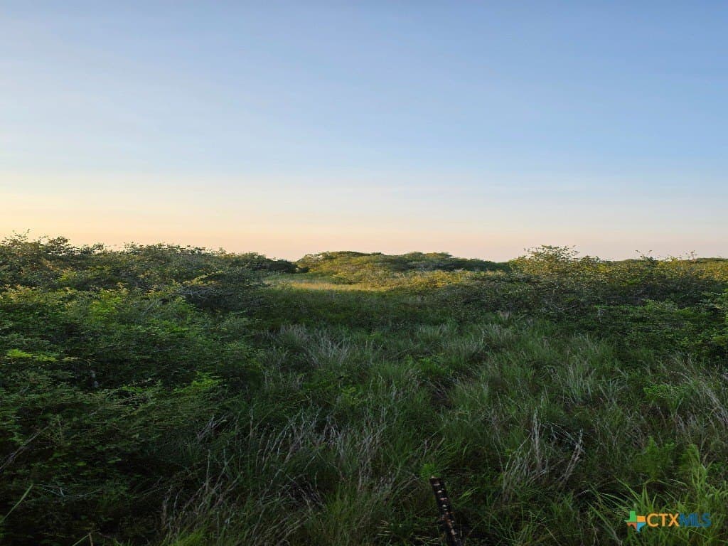 5 acres in Calhoun County - photo 2
