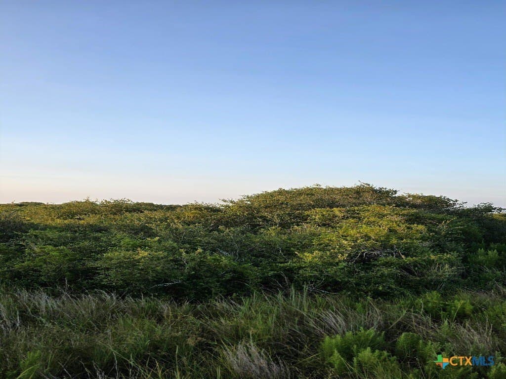 5 acres in Calhoun County - photo 9
