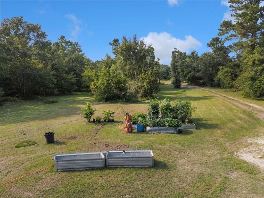 12 acres in Grimes County - photo 13