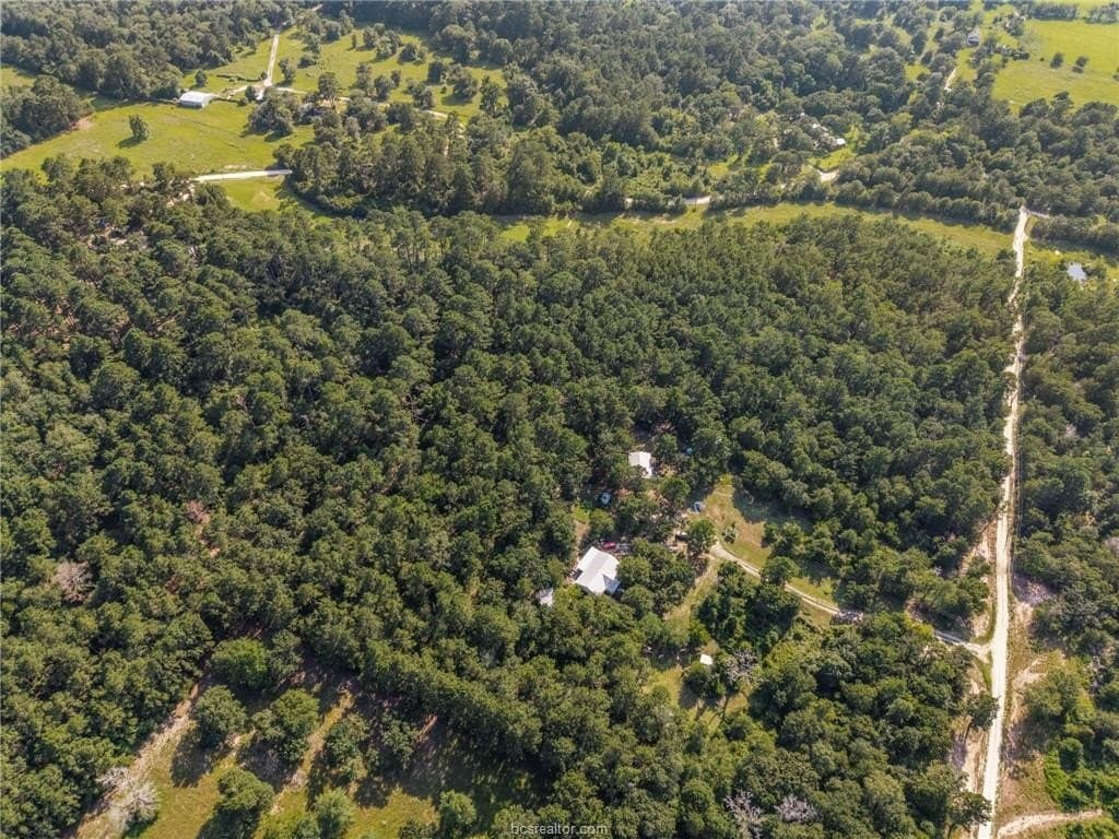 12 acres in Grimes County - photo 8
