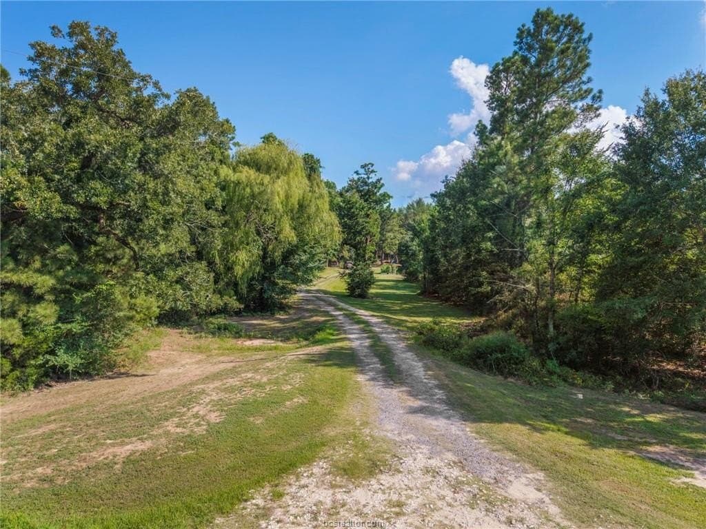 12 acres in Grimes County - photo 9