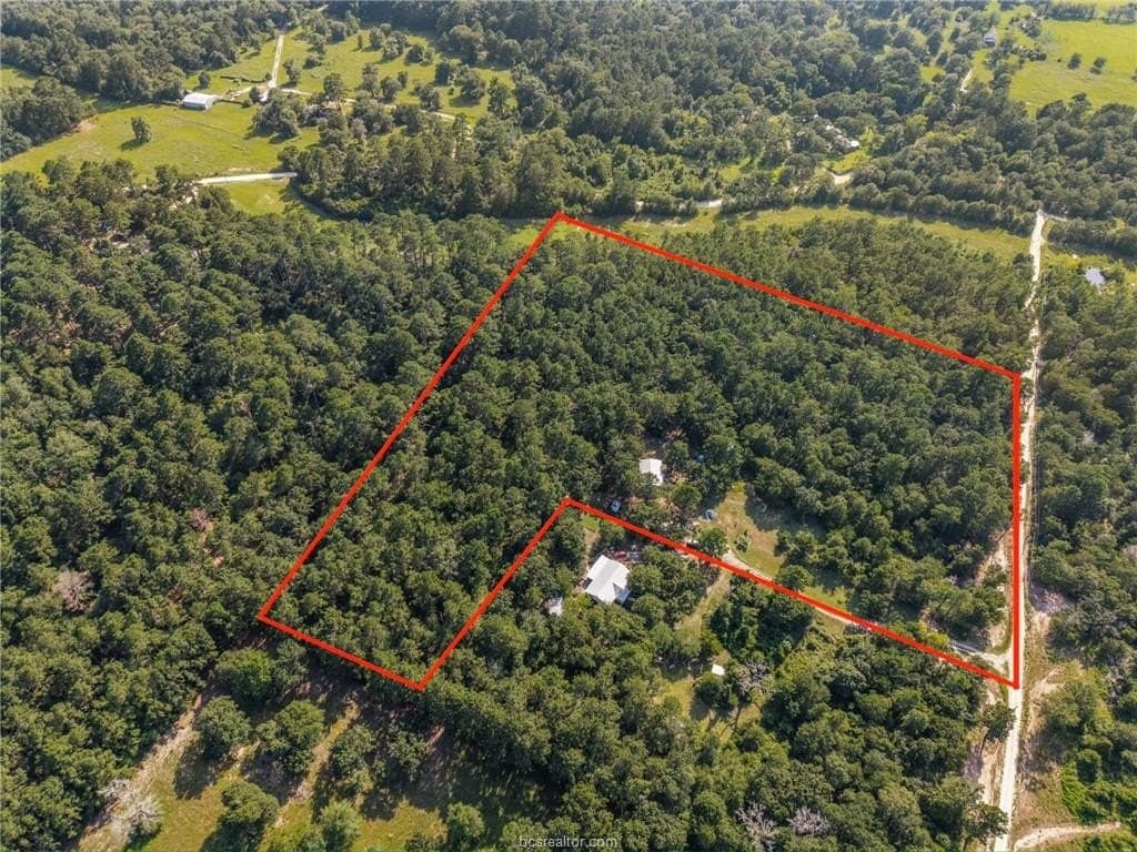 12 acres in Grimes County gallery image 2