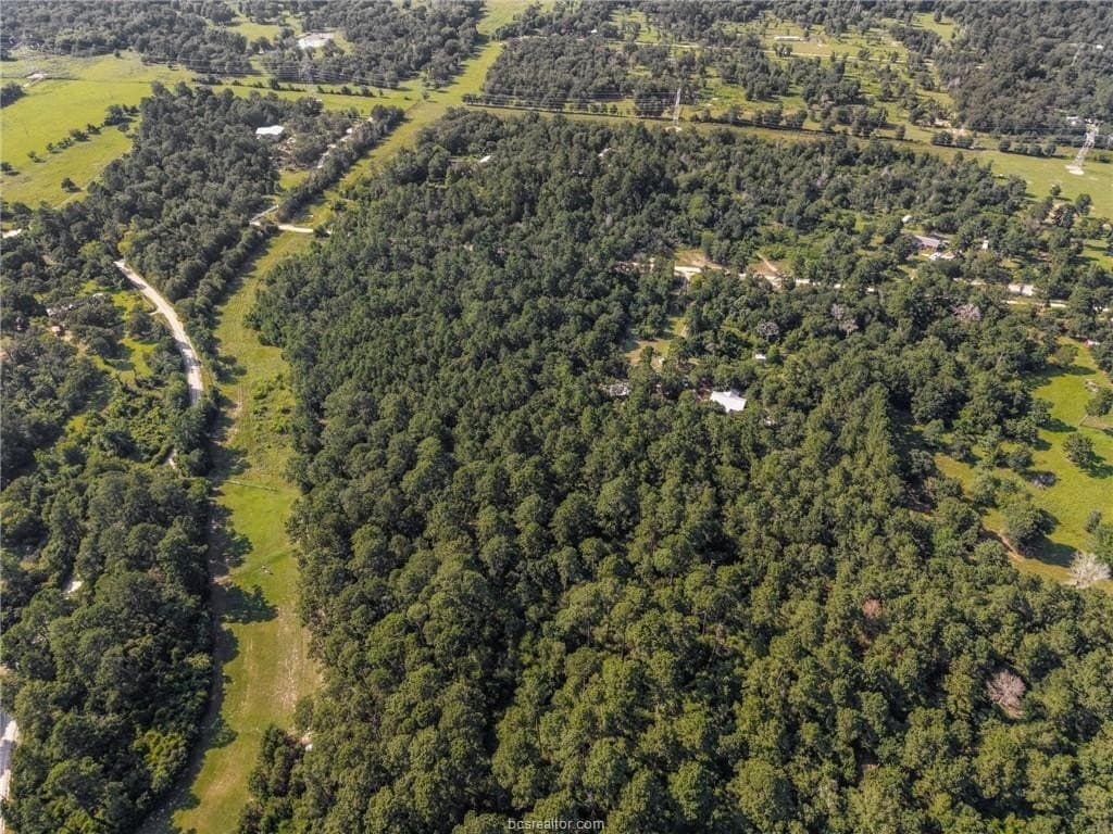 12 acres in Grimes County - photo 10