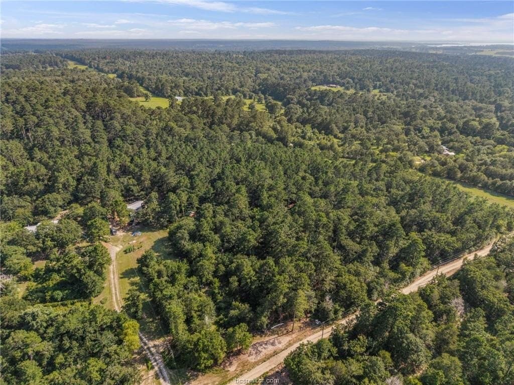 12 acres in Grimes County - photo 6