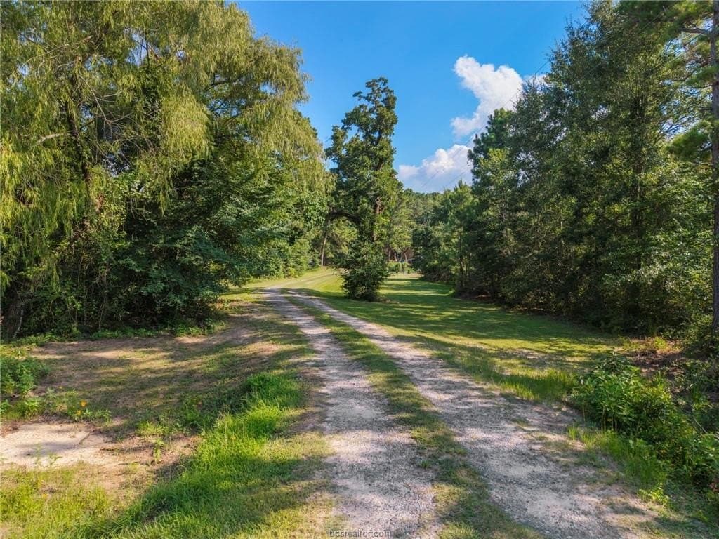 12 acres in Grimes County gallery image 3