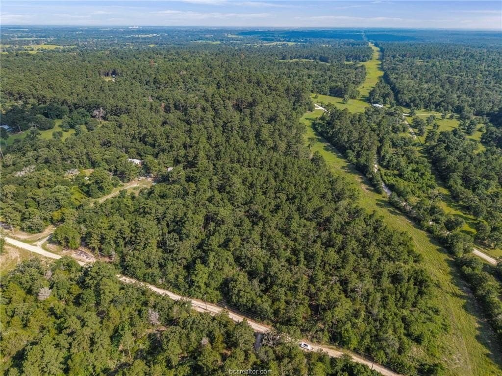 12 acres in Grimes County gallery image 4