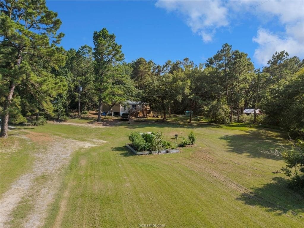 12 acres in Grimes County - photo 7