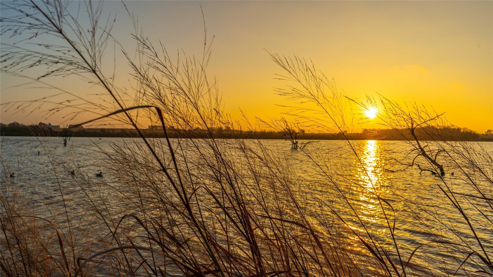 100 acres in Bell County - photo 3