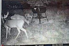 100 acres in Bell County - photo 38