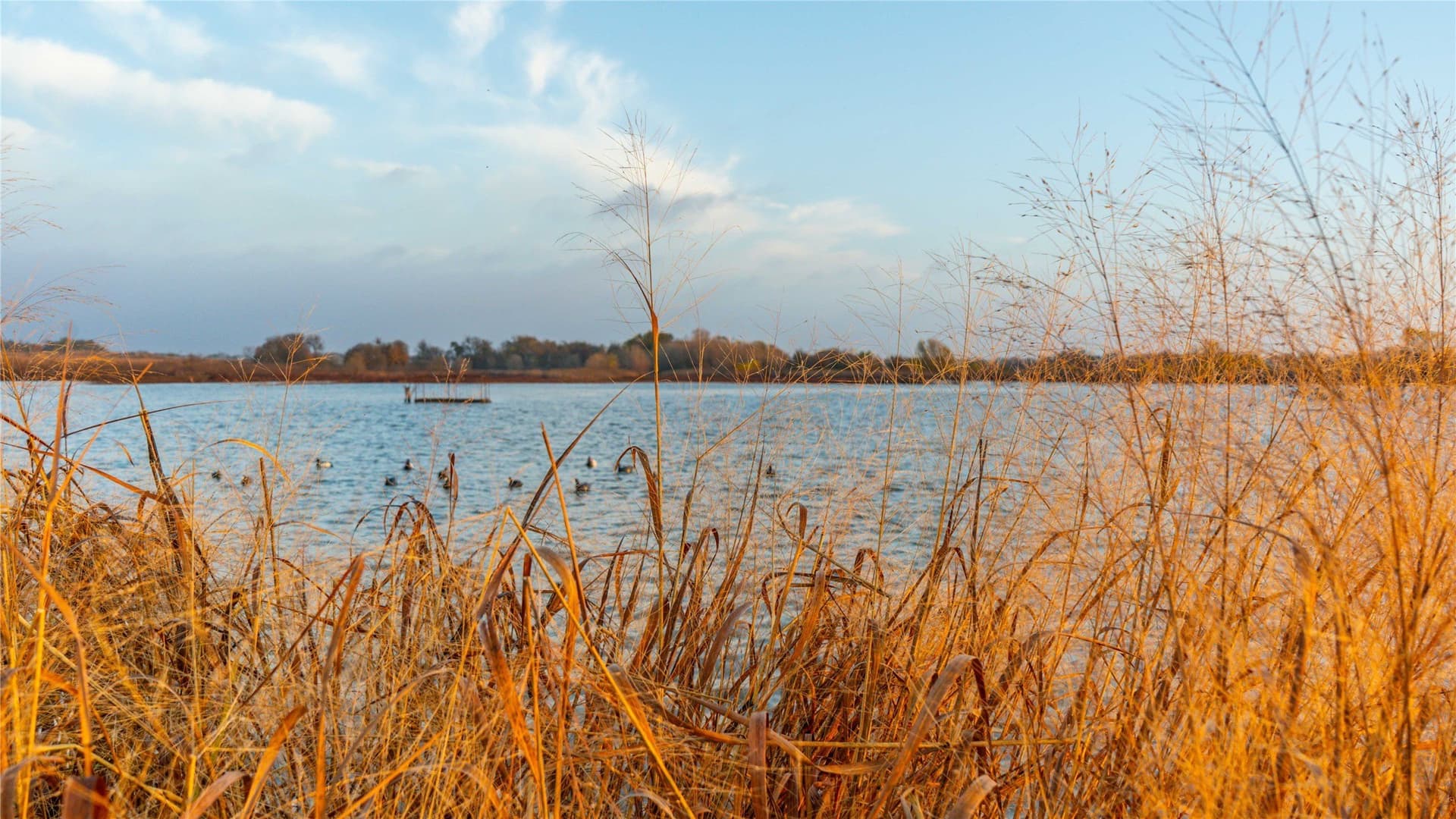 100 acres in Bell County - photo 9