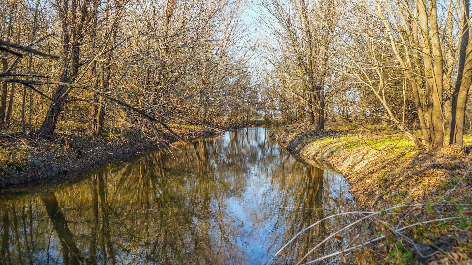 100 acres in Bell County - photo 22