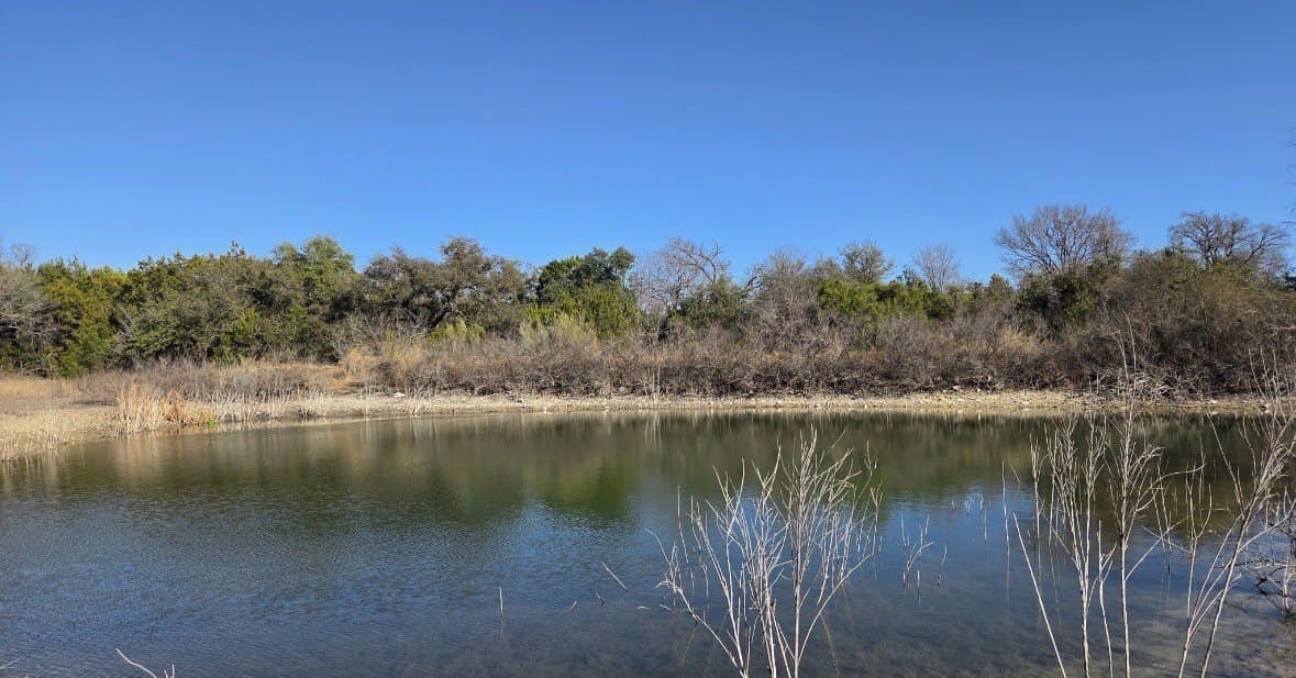 56.3 acres in Bosque County - photo 8