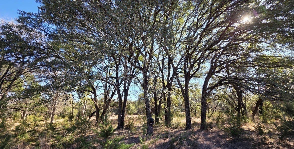 56.3 acres in Bosque County - photo 7