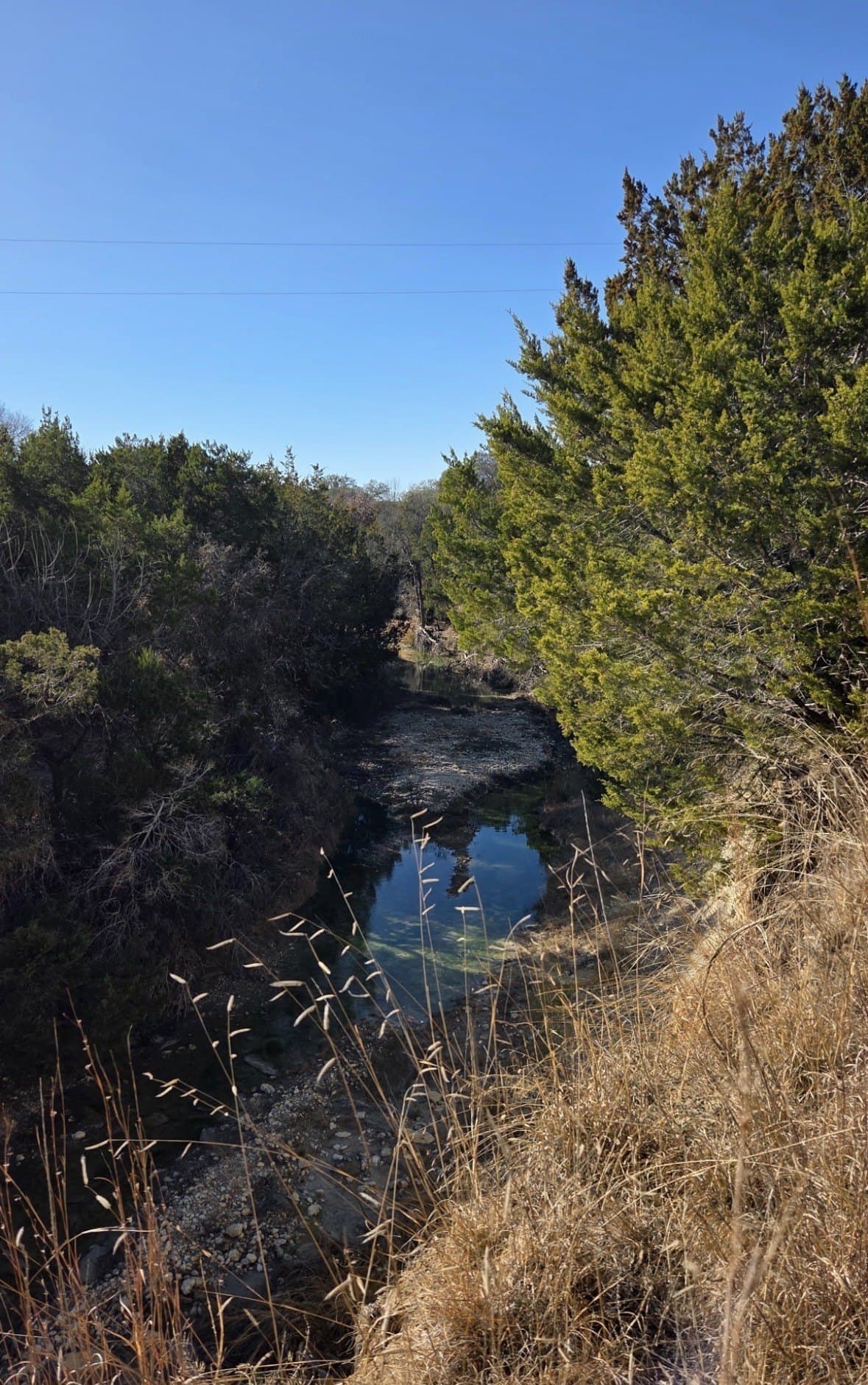 56.3 acres in Bosque County - photo 6