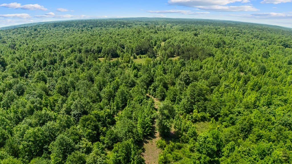 167.02 acres in Texas County gallery image 2
