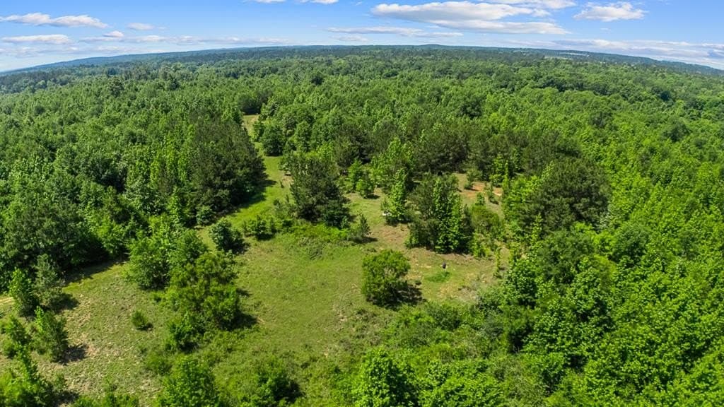 167.02 acres in Texas County