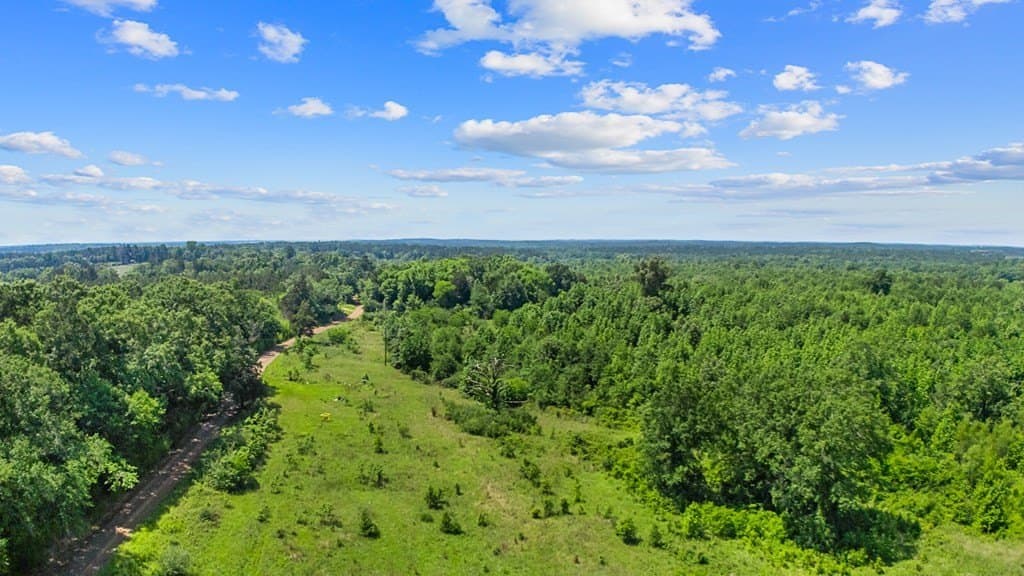 167.02 acres in Texas County gallery image 3