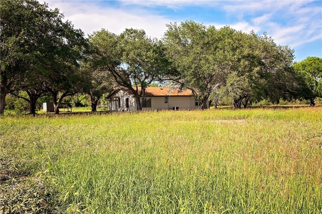 10 acres in Live Oak County - photo 35