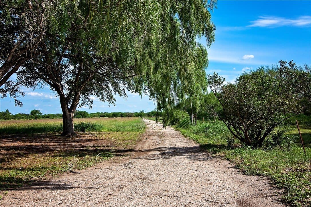 10 acres in Live Oak County - photo 34
