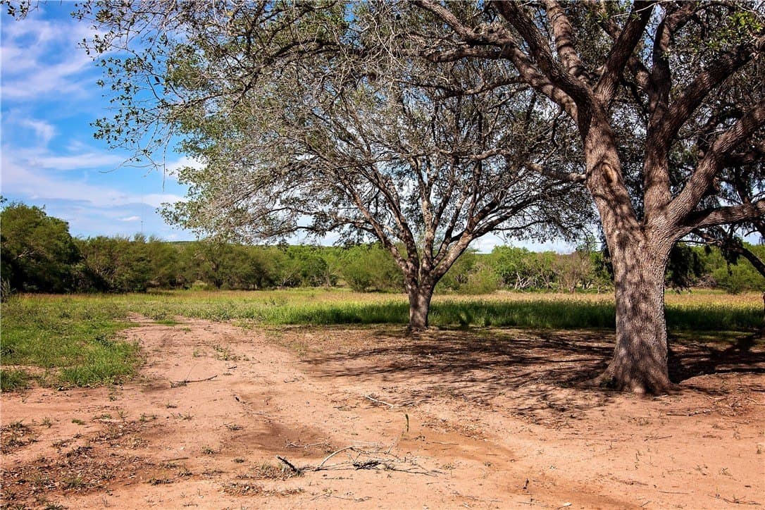 10 acres in Live Oak County - photo 33