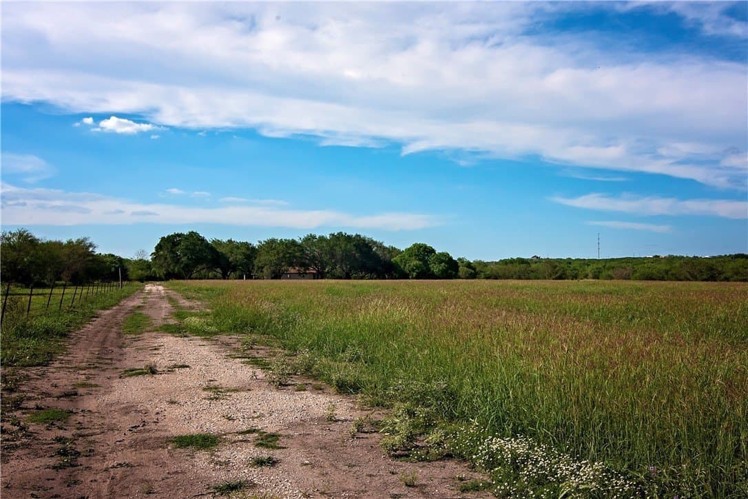10 acres in Live Oak County - photo 37