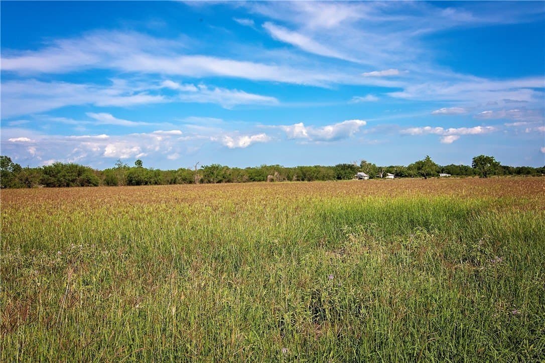 10 acres in Live Oak County - photo 36