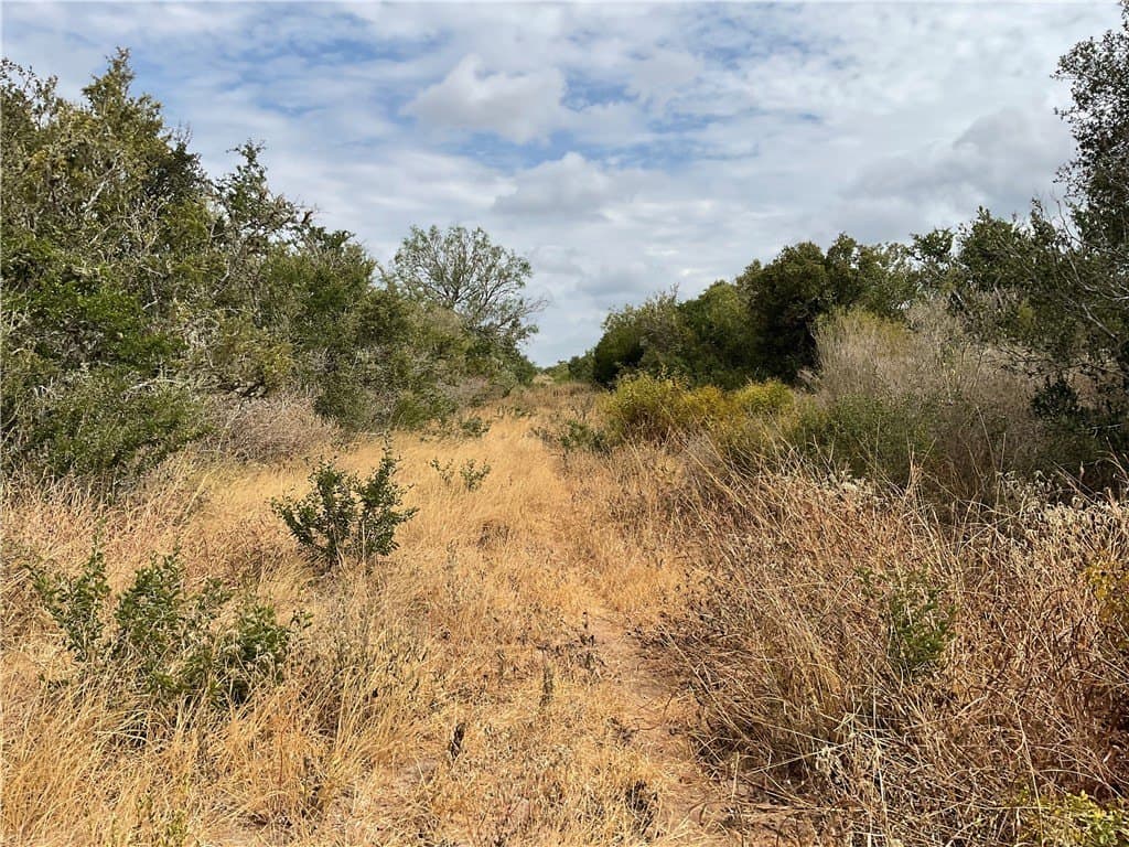 22.32 acres in Duval County - photo 3