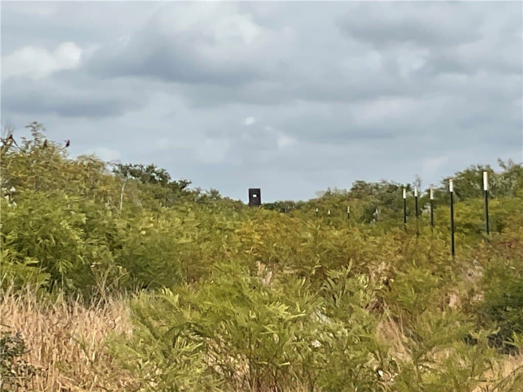 22.32 acres in Duval County - photo 4