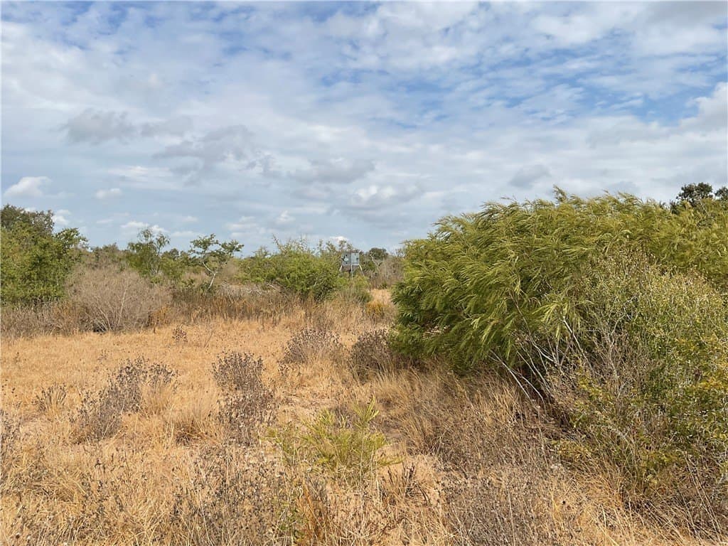 22.32 acres in Duval County - photo 2