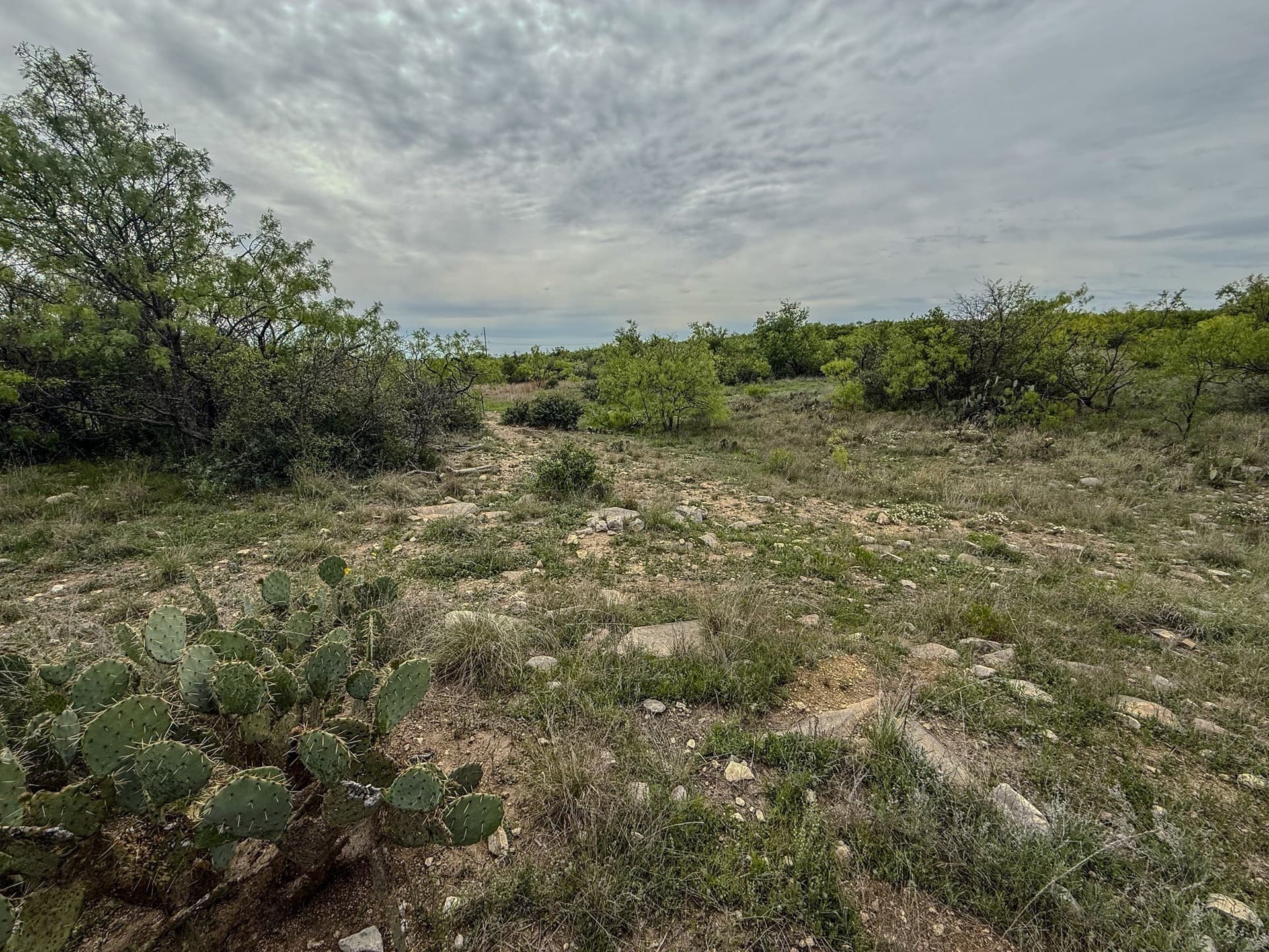 1,090 acres in Coleman County - photo 35