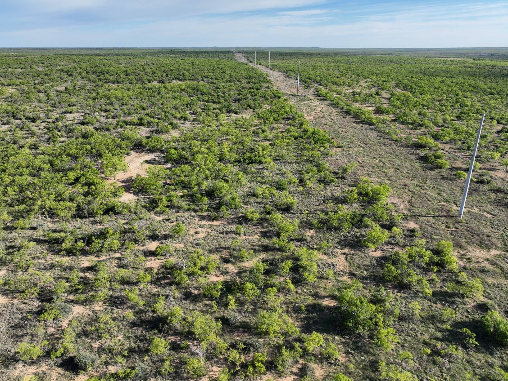 1,090 acres in Coleman County - photo 13
