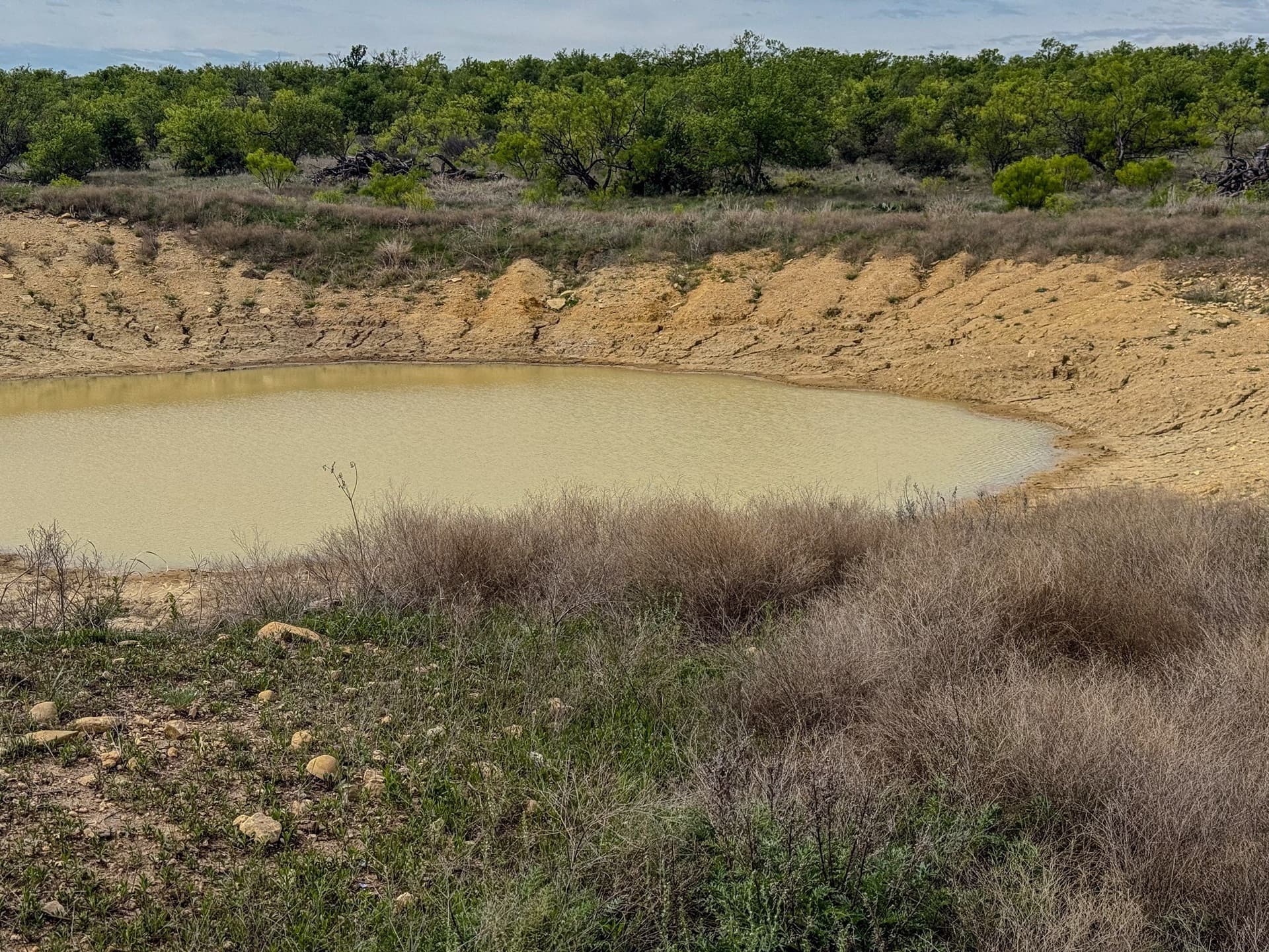 1,090 acres in Coleman County - photo 33