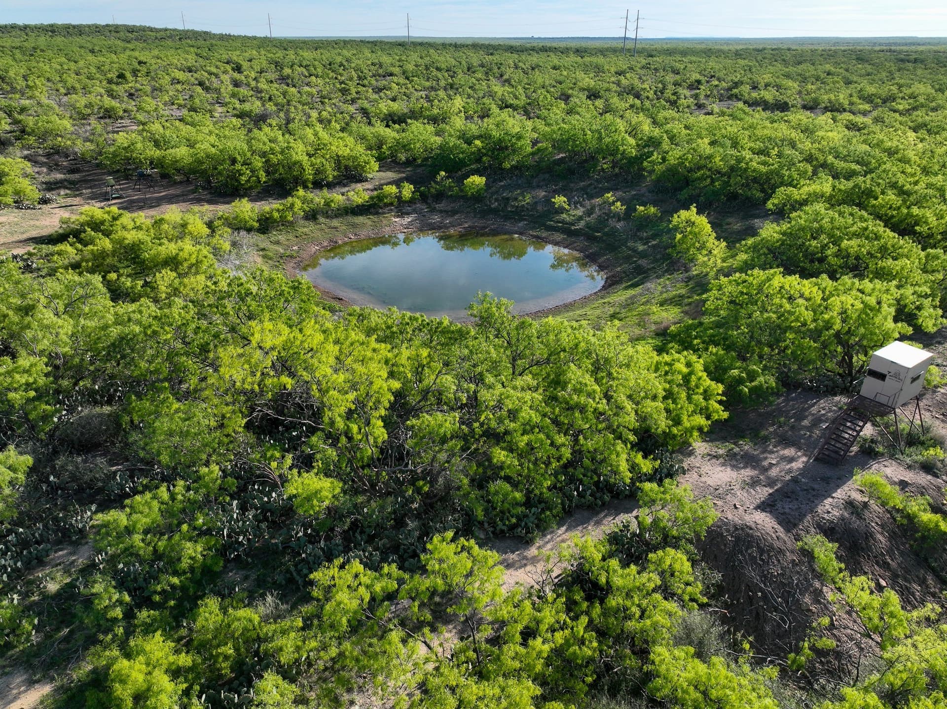1,090 acres in Coleman County - photo 12