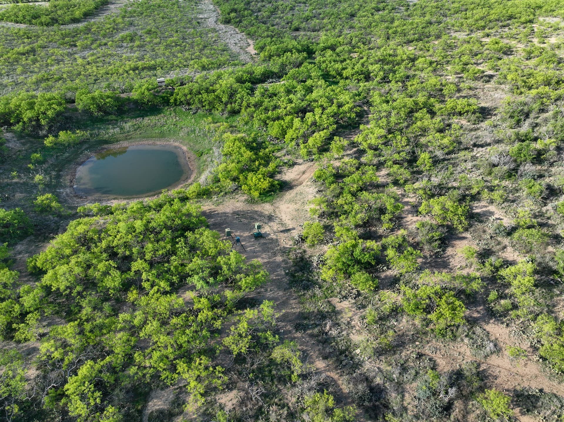1,090 acres in Coleman County - photo 11