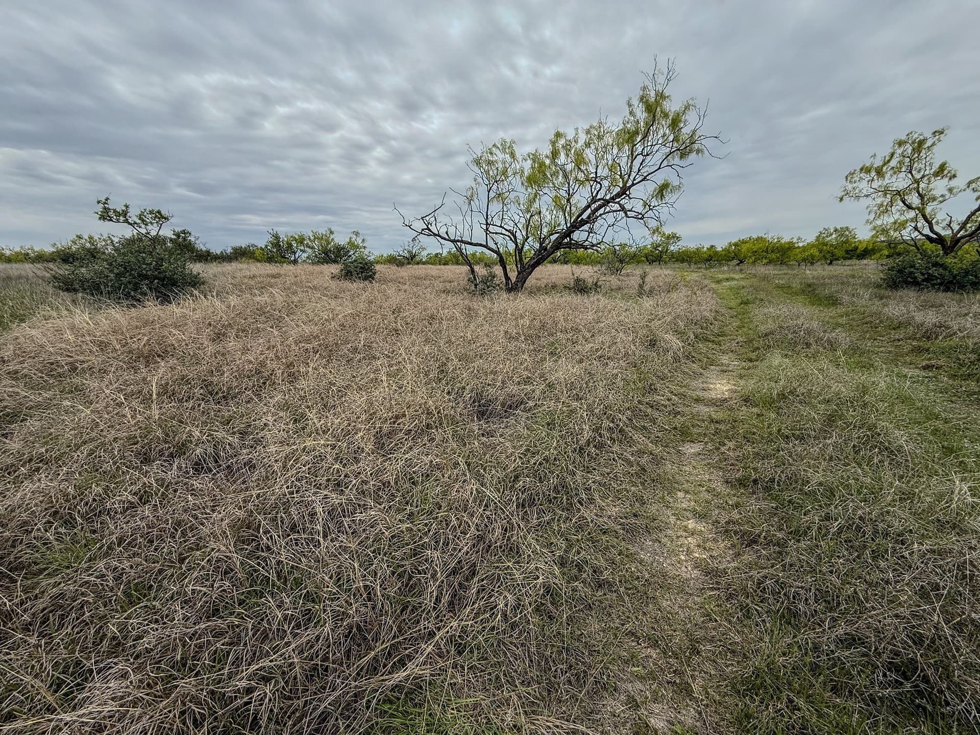 1,090 acres in Coleman County - photo 39