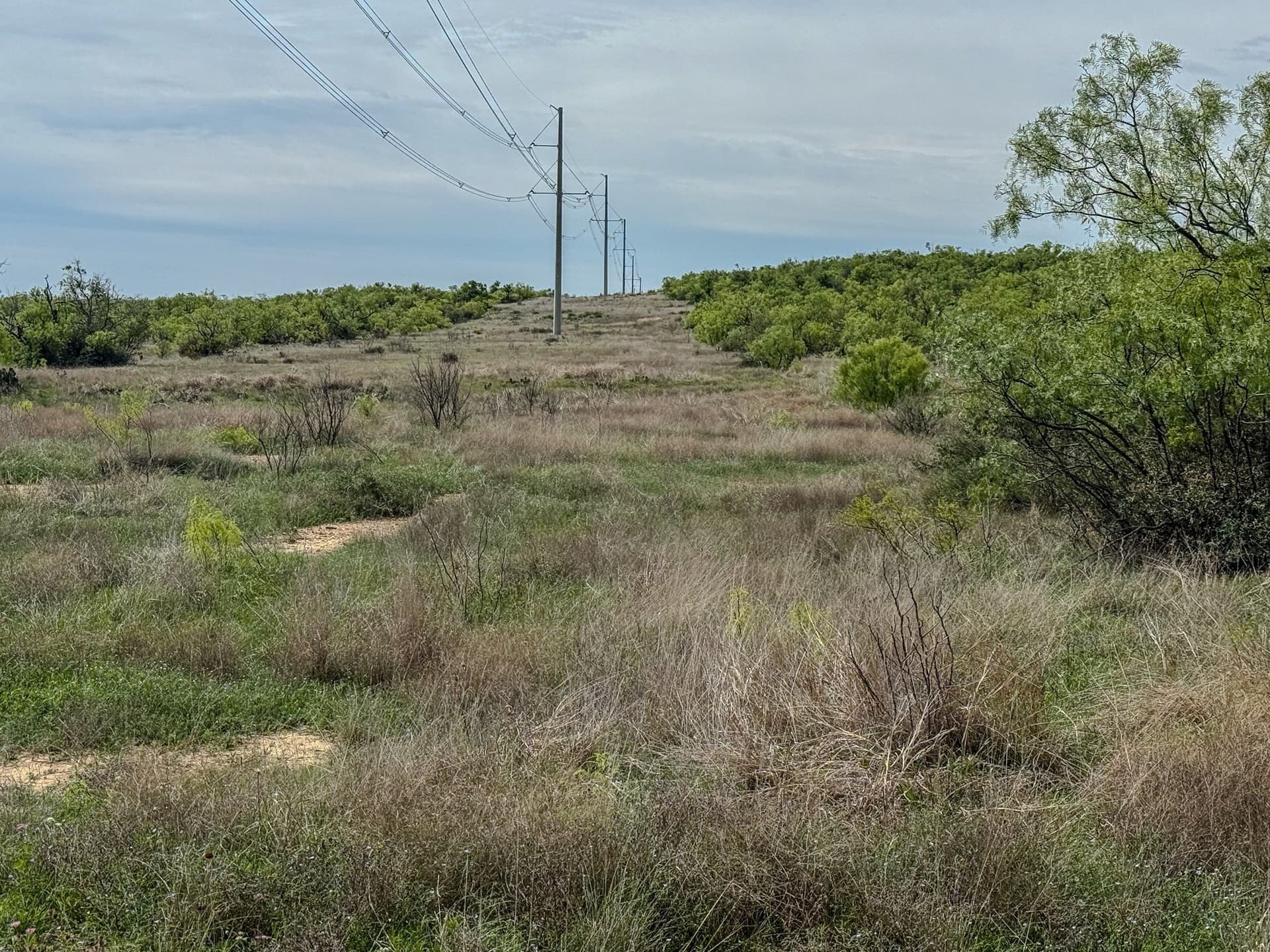 1,090 acres in Coleman County - photo 32