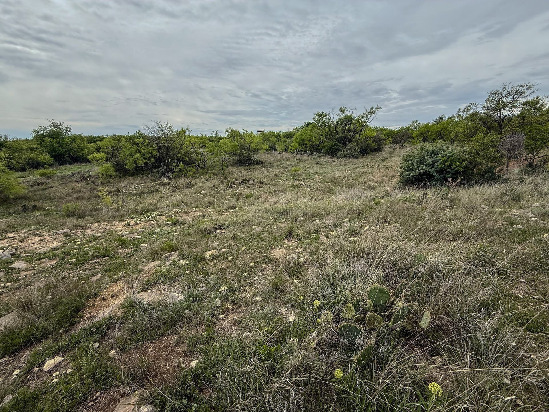 1,090 acres in Coleman County - photo 34