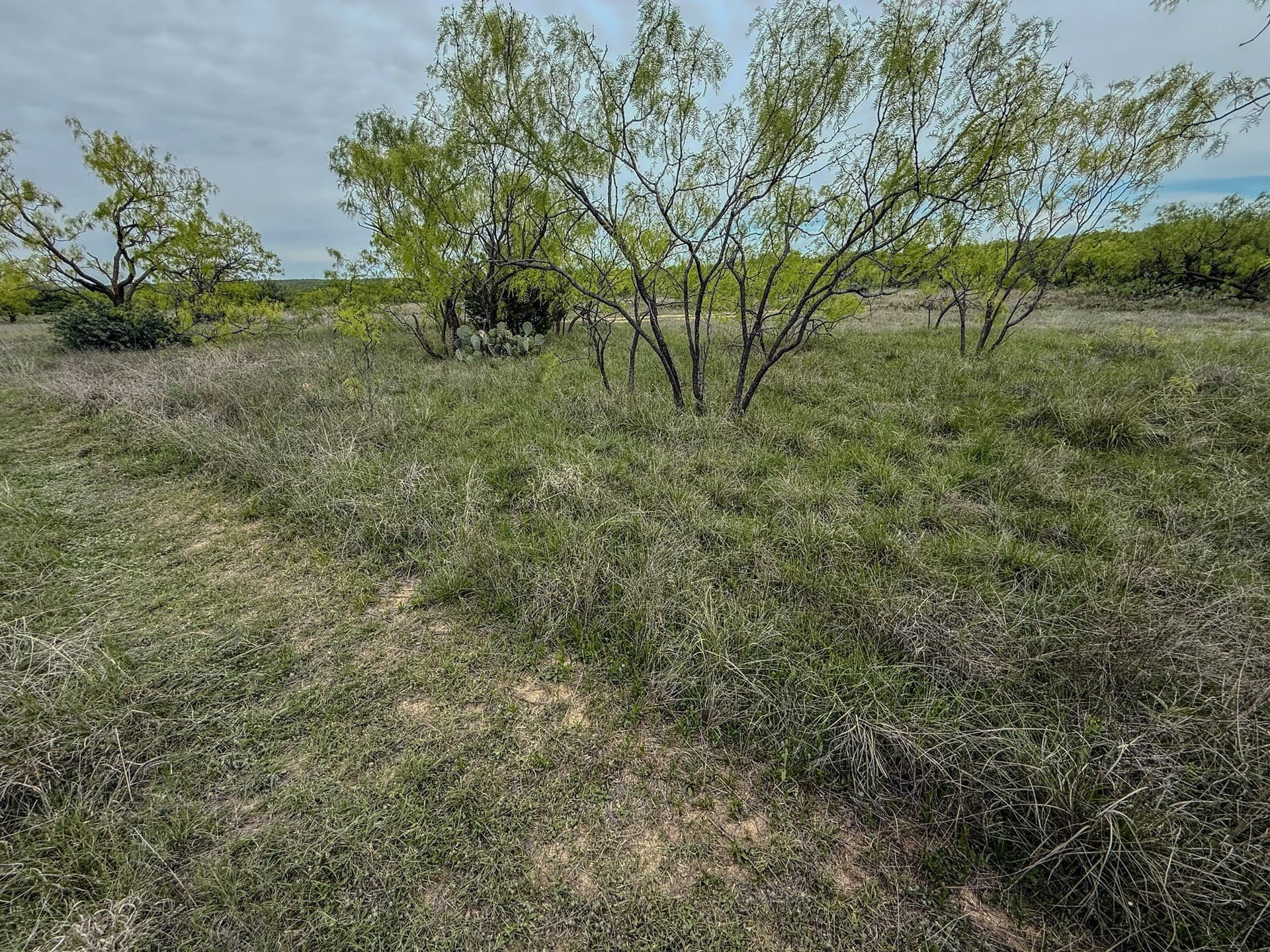 1,090 acres in Coleman County - photo 9