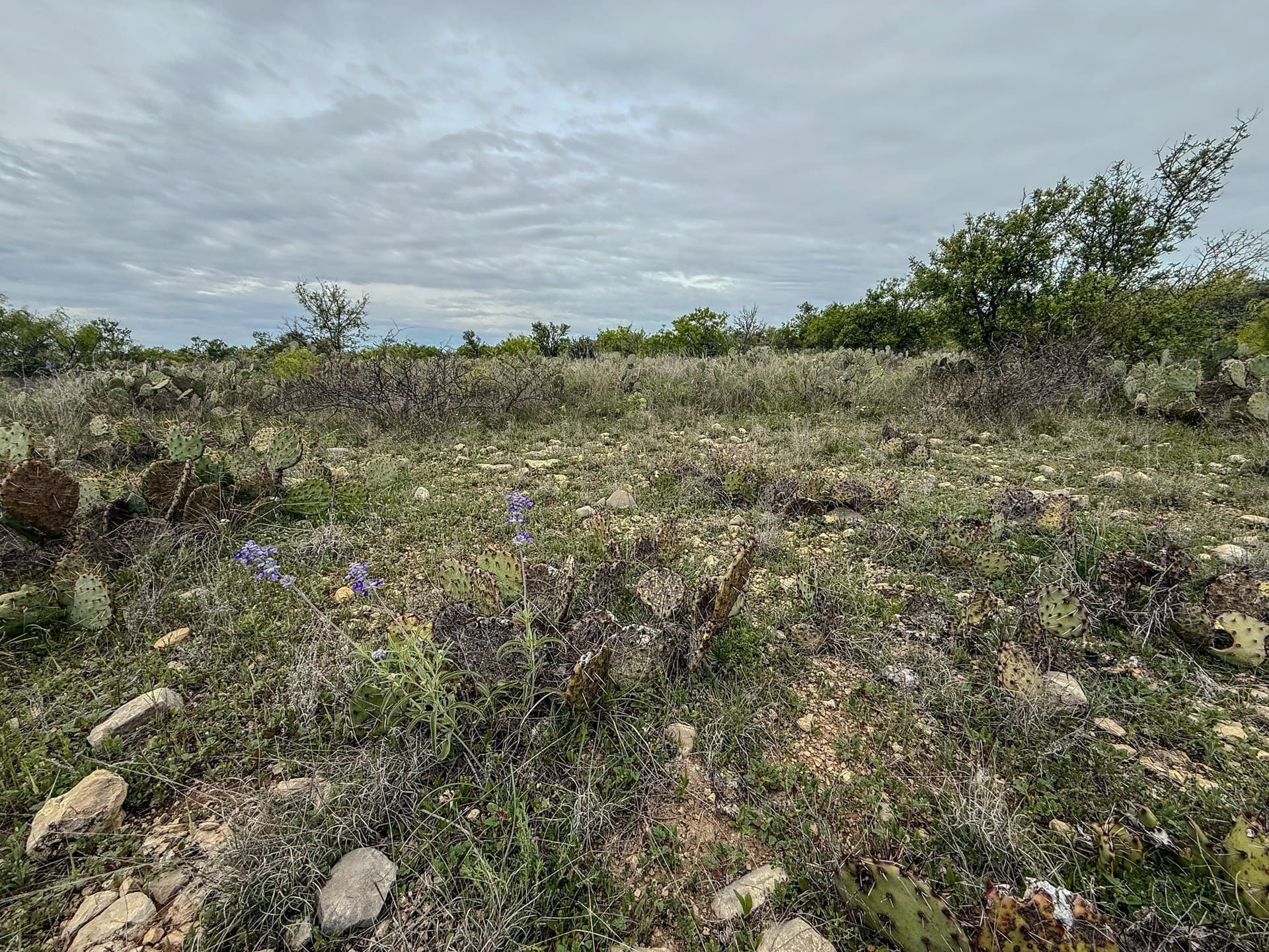 1,090 acres in Coleman County - photo 36