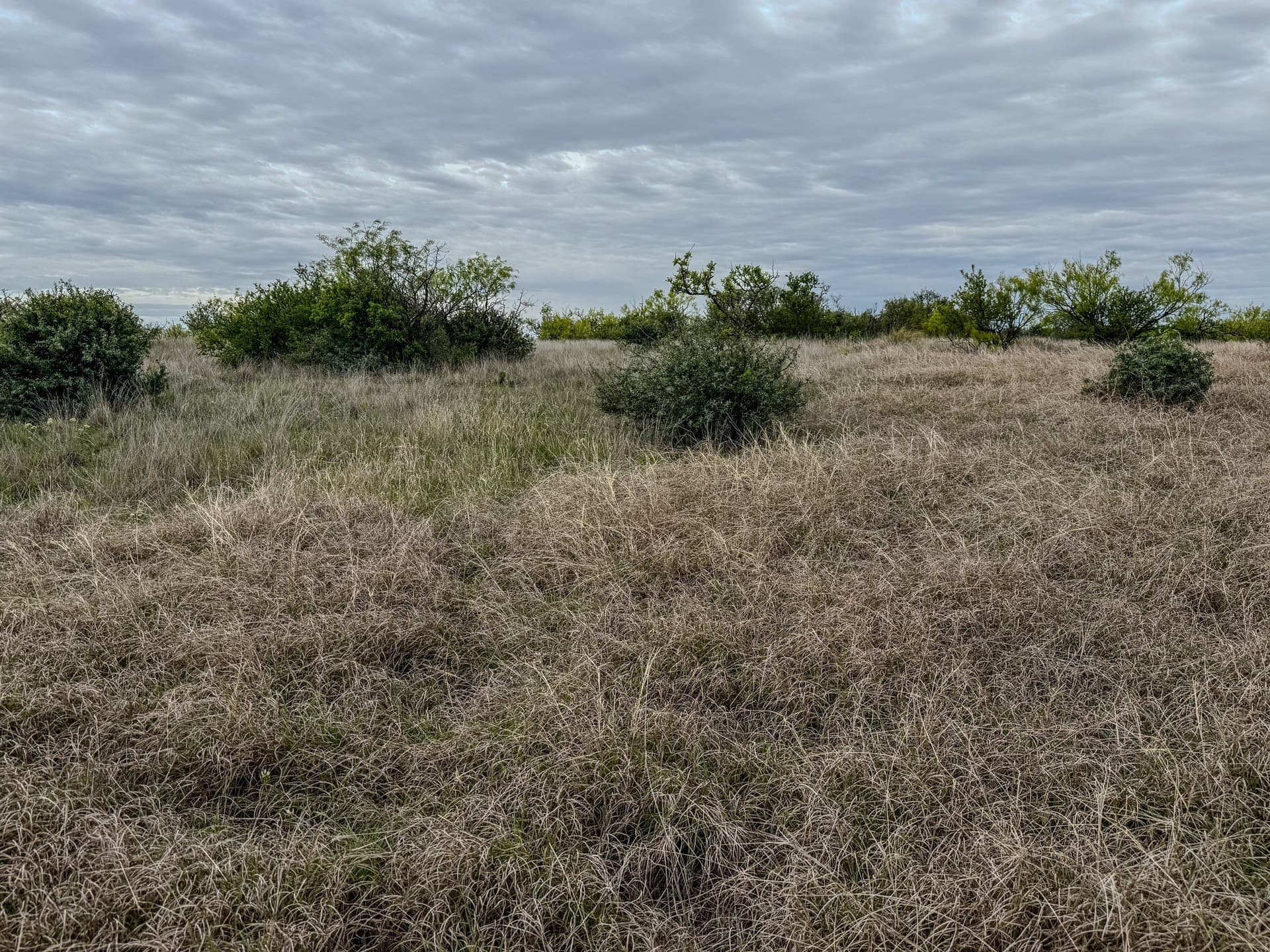 1,090 acres in Coleman County - photo 40