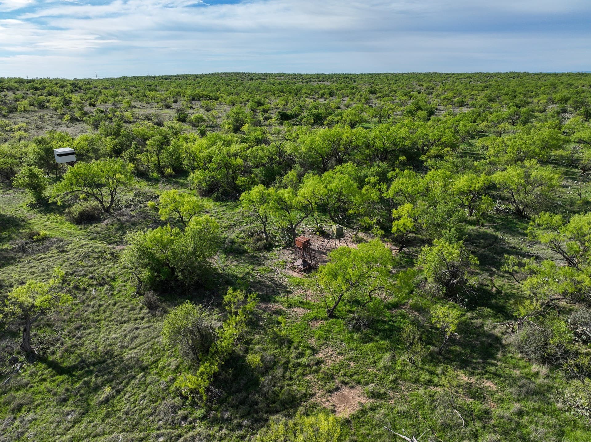 1,090 acres in Coleman County - photo 16