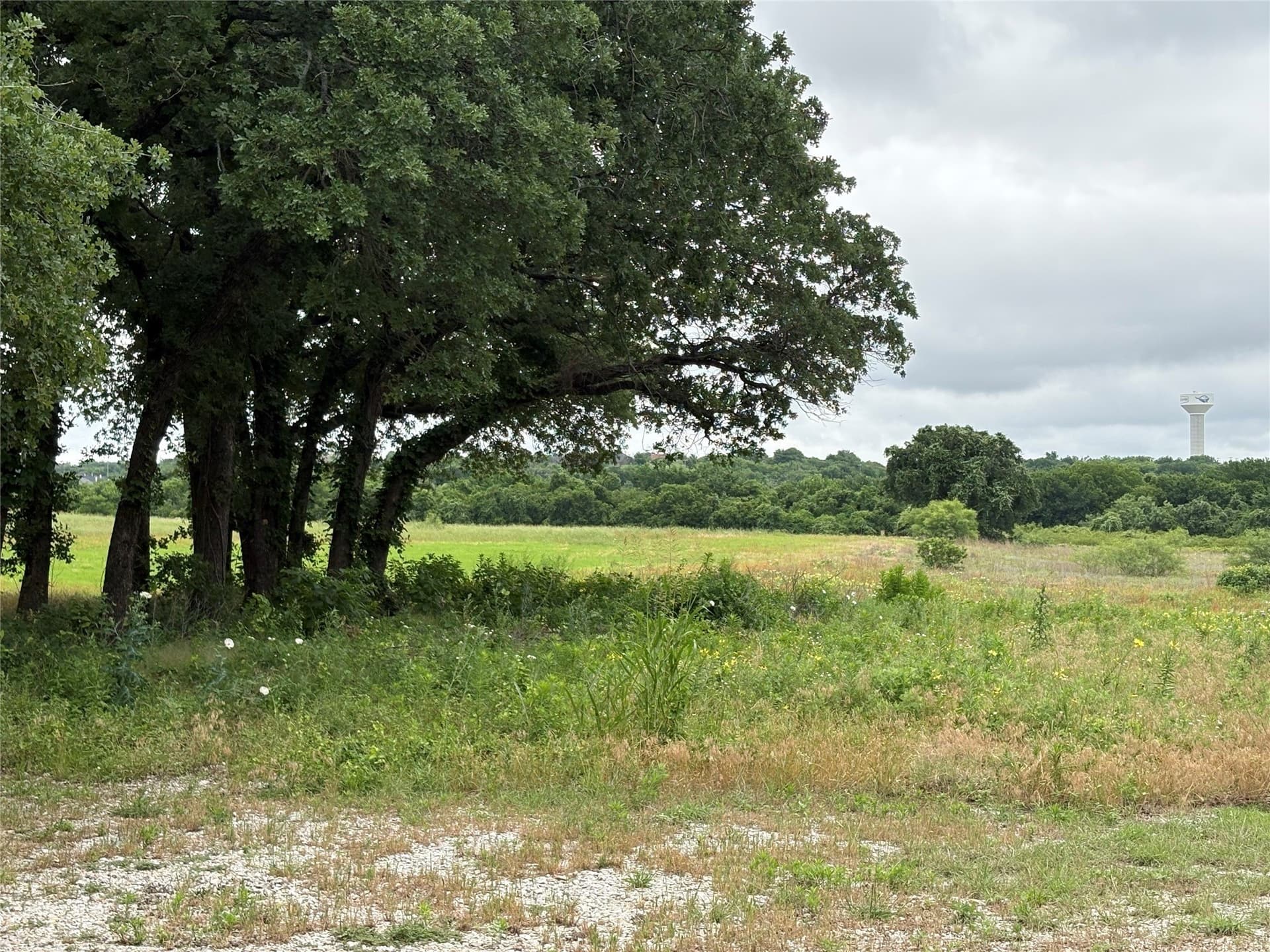22 acres in Parker County - photo 9