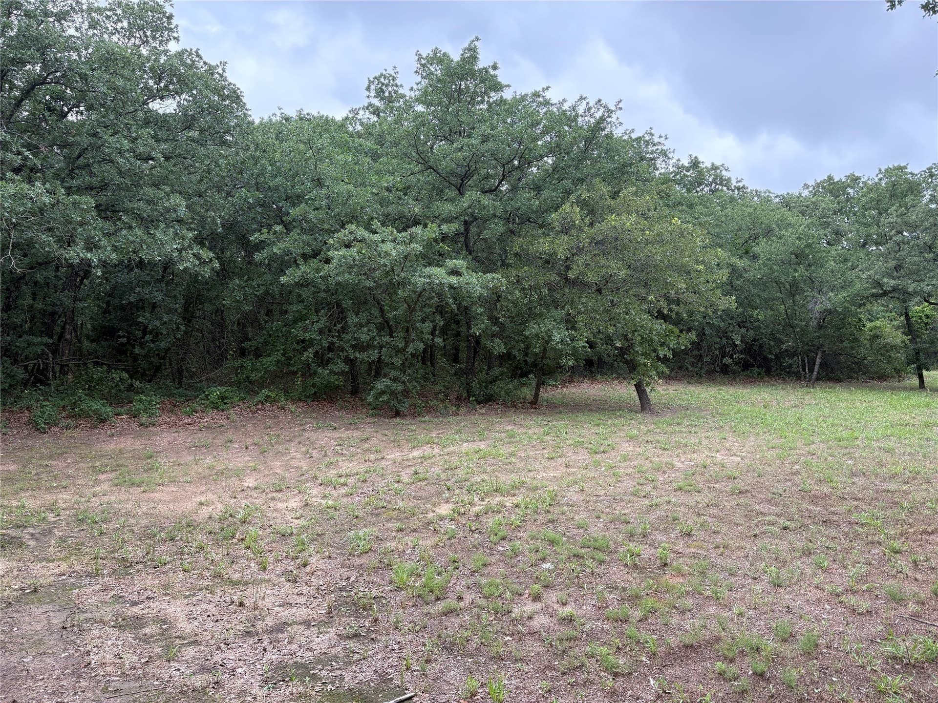 22 acres in Parker County - photo 10