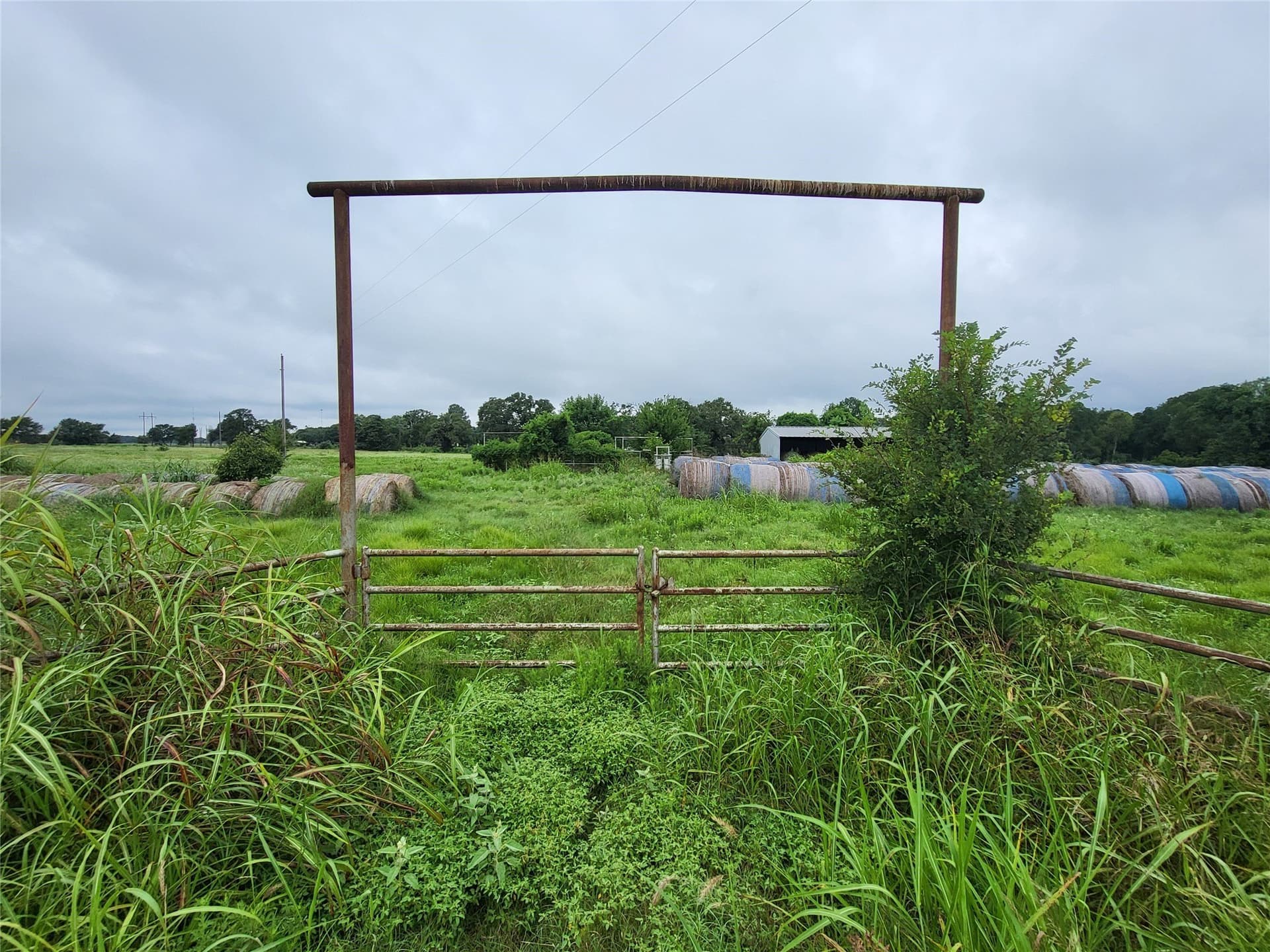 21.74 acres in Limestone County gallery image 2