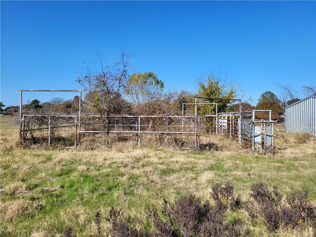 21.74 acres in Limestone County gallery image 4
