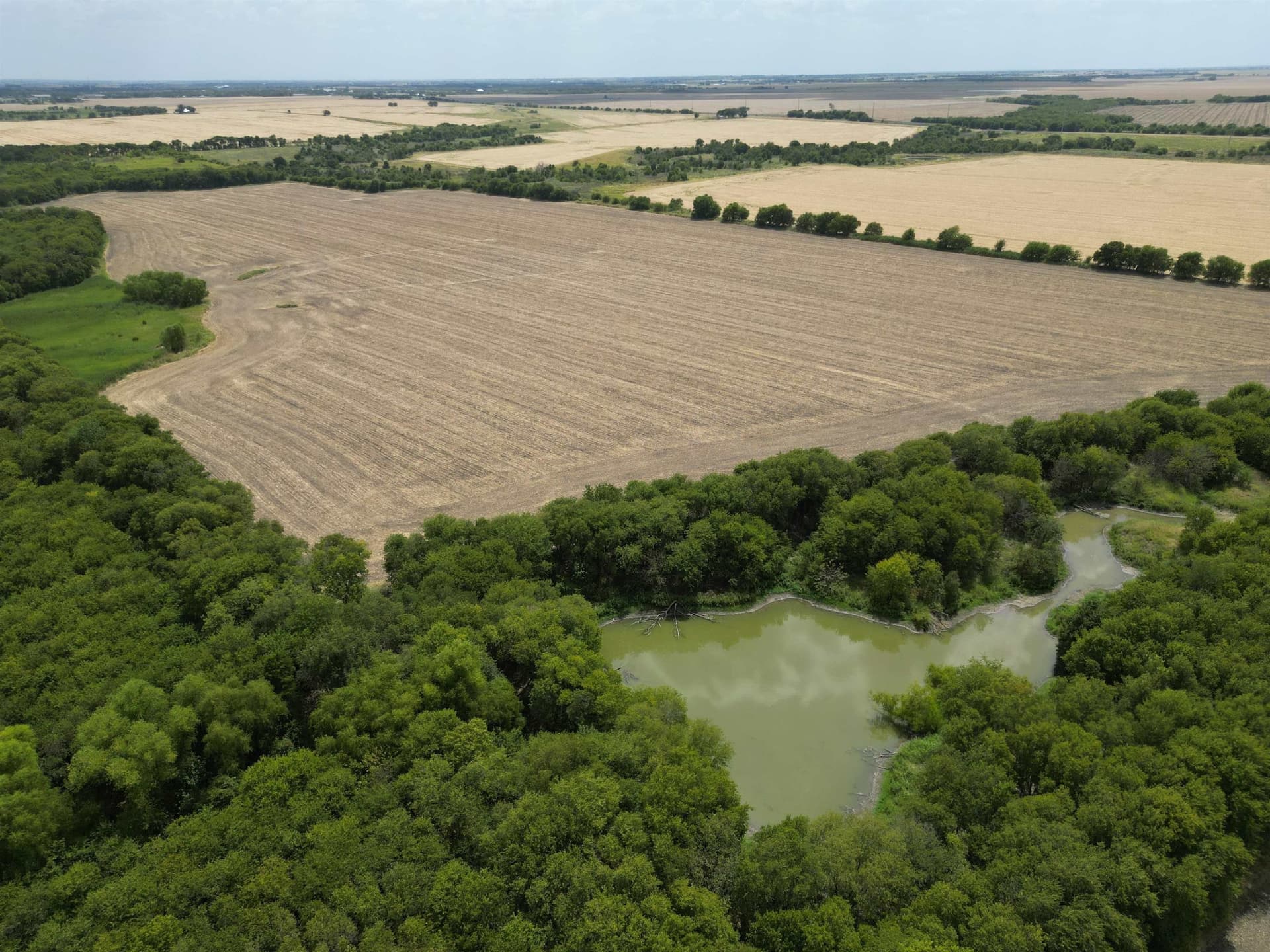 161.45 acres in Out of Area County - photo 10