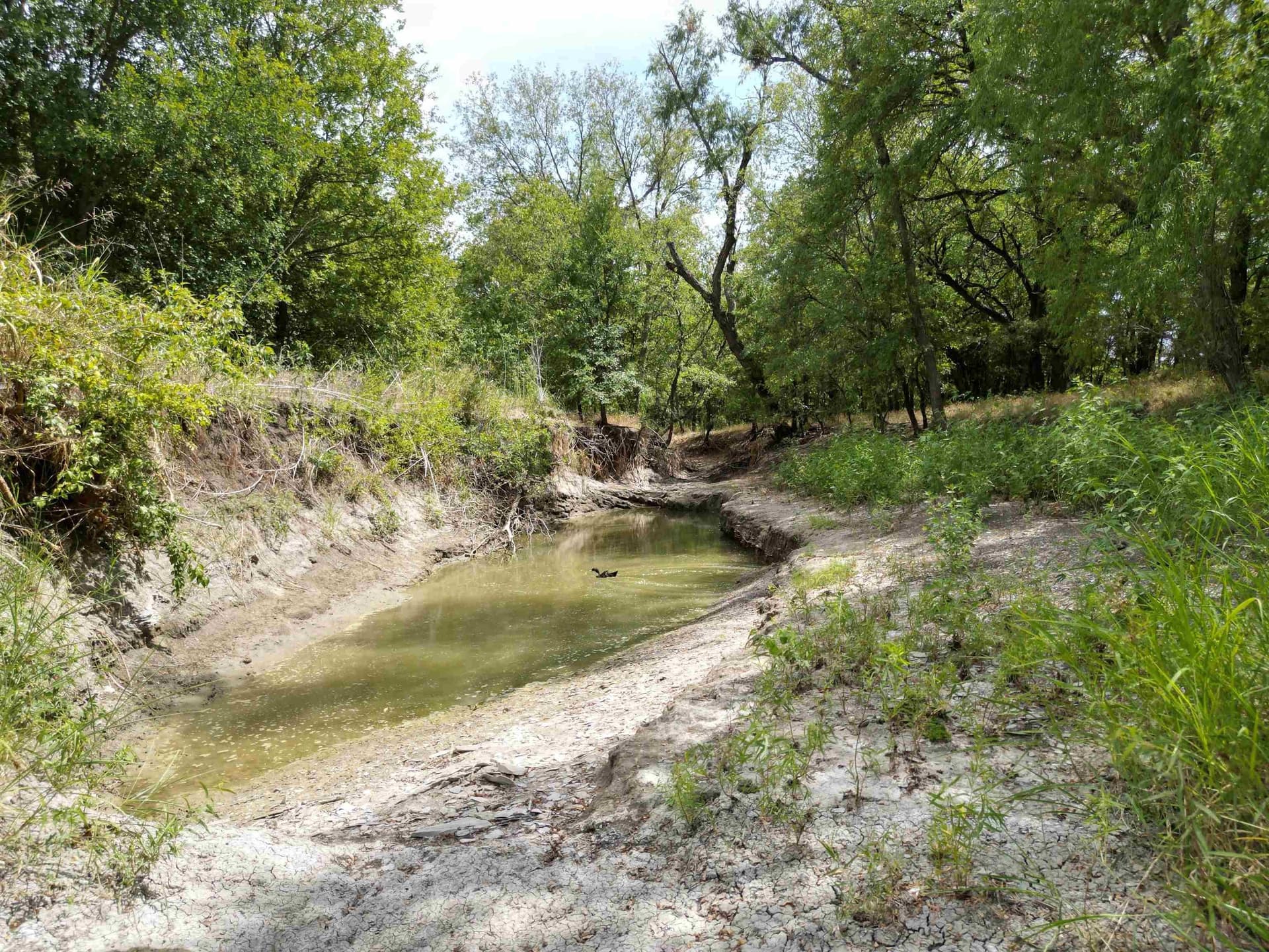 161.45 acres in Out of Area County - photo 12