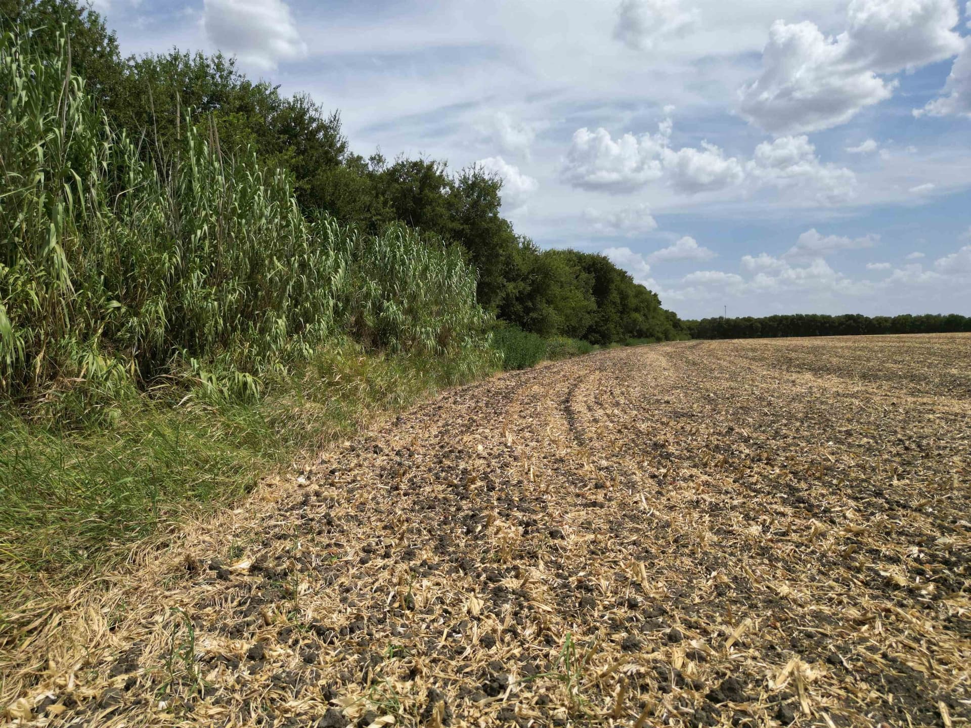161.45 acres in Out of Area County - photo 25