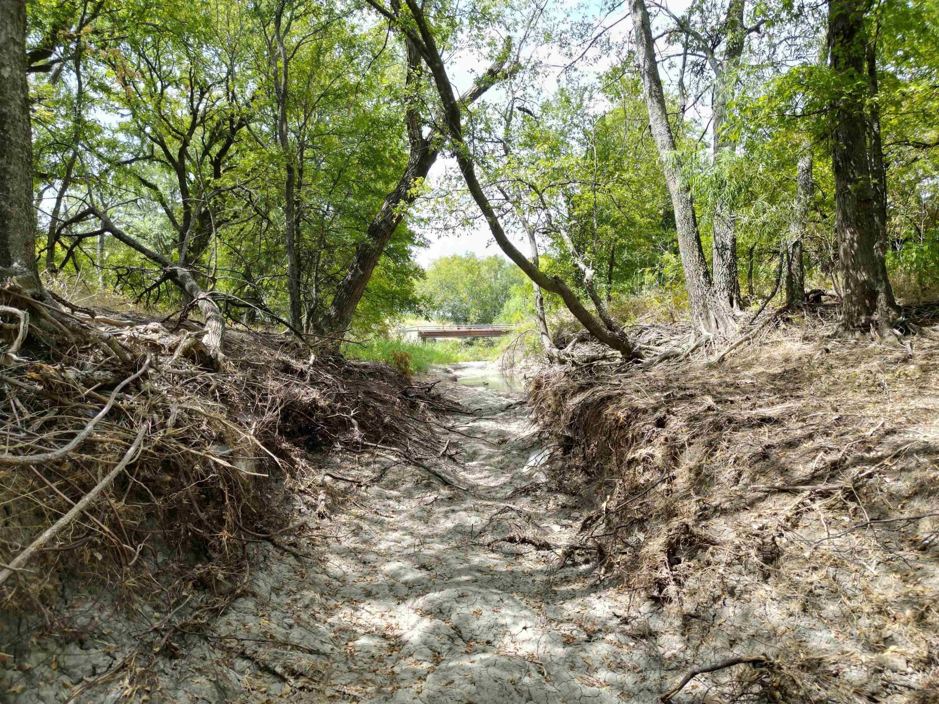 161.45 acres in Out of Area County - photo 24